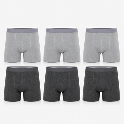 6'LI ERKEK BOXER
